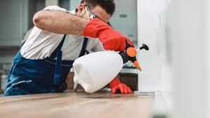 Best Commercial Pest Control  in Wheelersburg, OH